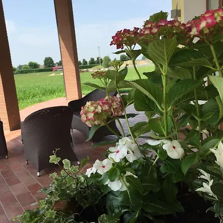 Agriturismo Ceppo Villa del Conte