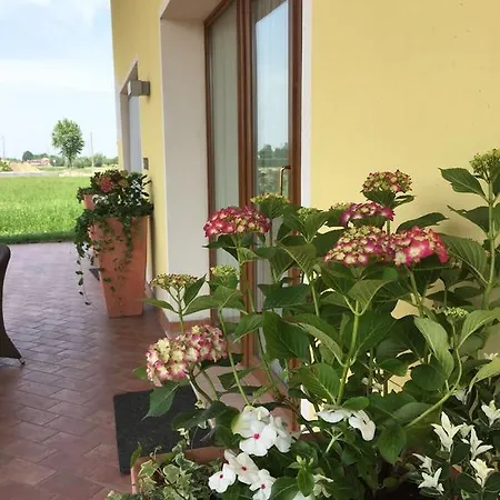 Çiftlik konaklama Agriturismo Ceppo *