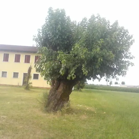 Agriturismo Ceppo Çiftlik konaklama *